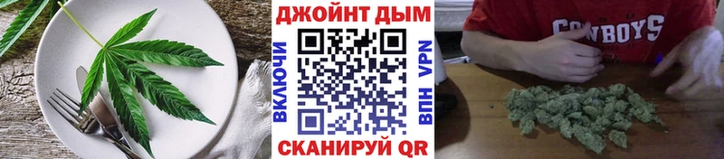 Купить где  Городовиковск  Canna-Cookies конопля 
