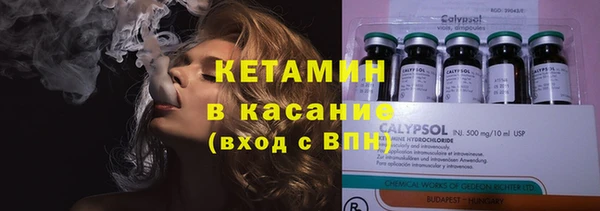 индика Заволжск