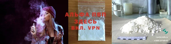 индика Заволжск