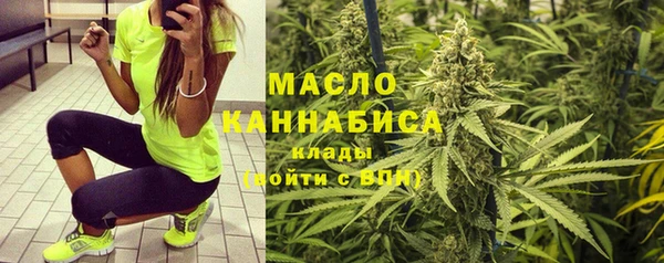 индика Заволжск