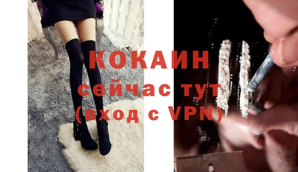 индика Заволжск