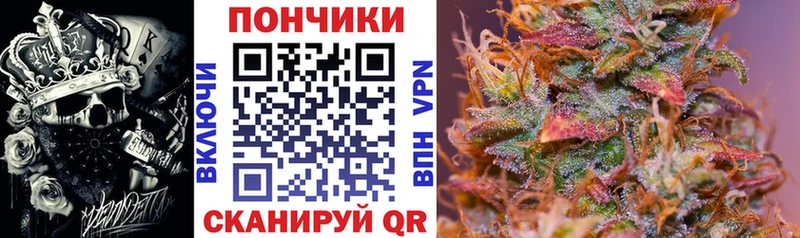 Бошки Шишки Amnesia  Купить где  Городовиковск 